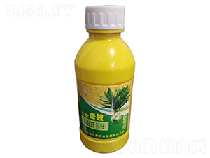 ������Ч-�ډѿ�