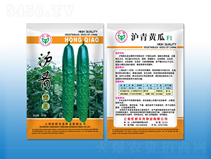 �����S��-�S�ϷN��-�����N�I(y��)