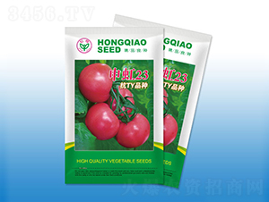 ���23-���ѷN��-�����N�I(y��)