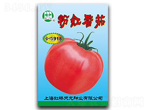 ����918-���ѷN��-�����N�I(y��)