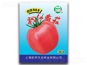 ����908-���ѷN��-�����N�I(y��)