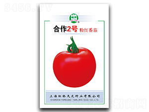 ����2̖(h��o)-���ѷN��-�����N�I(y��)