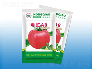 ���A8-���ѷN��-�����N�I(y��)