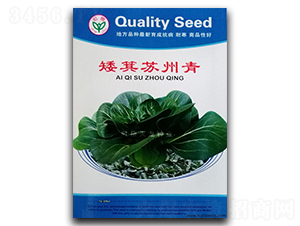 �����K����-�๣�˷N��-�����N�I(y��)