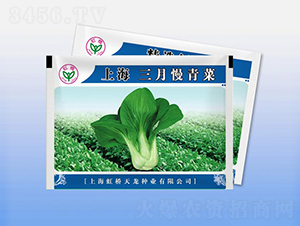 �Ϻ����������-�๣�˷N��-�����N�I(y��)