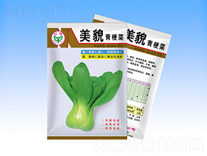 ��ò-�๣�˷N��-�����N�I(y��)