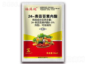 24���|̦�؃�(n��i)��-���M��-�S�՘�