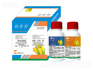 ��������݄�-��ɯɯ-�S�՘�