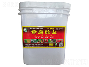 SR���a(ch��n)���S�����}-���S�Ƽ�