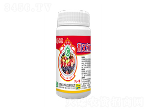 ���ּt-�惞(y��u)��-���S�Ƽ�