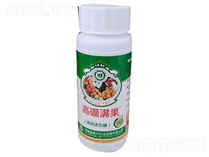 ������-����M��-���S�Ƽ�