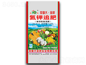 �����͏�(f��)���25-0-5-���ô󡤽���-�A������