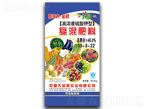 �ߝ��������͏�(f��)�����15-8-22-���ô󡤽���-�A������