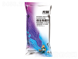 ��(bi��o)��(zh��n)��΢�������-�Ⱦ�-������