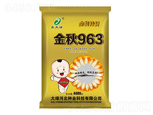 ����963-���׷N��-�δ�G