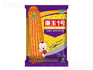 ����1̖(h��o)-���׷N��-�δ�G