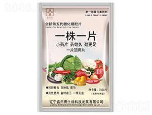 �ѹ�������һ��һƬ-������