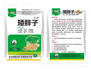 �����������a(ch��n)������-�֠��� 