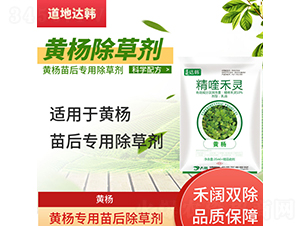 �S��������݄�-�����_�n