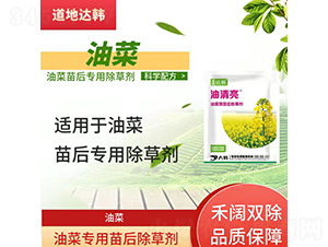 �Ͳˌ��������݄�-������-�����_�n