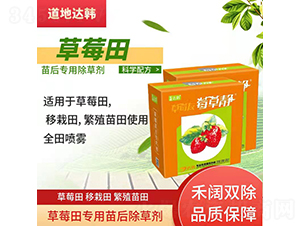 ��ݮ����ó��݄�-��ݮ�o-�����_(d��)�n