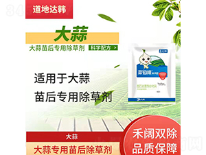 ���⌣�������݄�-����¡����M�@-�����_(d��)�n