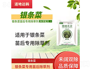 �y�l�ˌ��������݄�-�����_(d��)�n