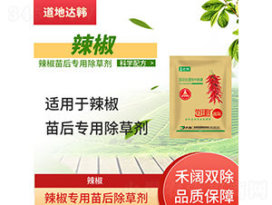 ��������ó��݄�-����-�����_(d��)�n