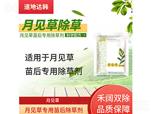 ��Ҋ�݌��������݄�-�����_(d��)�n