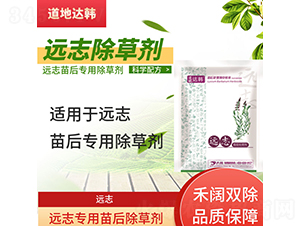 �h(yu��n)־���������݄�-�����_(d��)�n