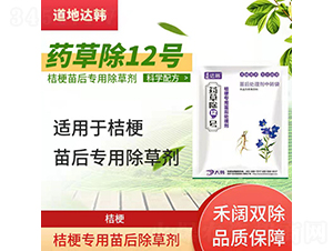 �۹������(zhu��n)�ó��݄�-ˎ�ݳ�12̖(h��o)-�����_(d��)�n