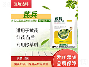 �S�μt�Ό�(zhu��n)�������݄�-�α�-�����_(d��)�n