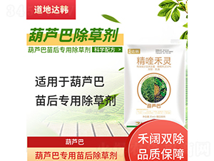 ���J�͌�(zhu��n)�������݄�-�����_(d��)�n