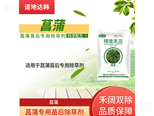 ���ь�(zhu��n)�������݄�-�����_(d��)�n