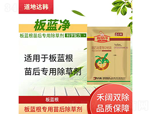 ���{(l��n)����(zhu��n)�������݄�-���{(l��n)��-�����_(d��)�n