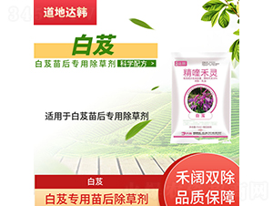 ��ܸ��(zhu��n)�������݄�-�����_(d��)�n