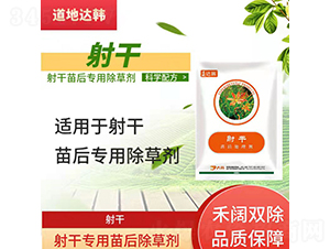 ��Ɍ�(zhu��n)�������݄�-�����_(d��)�n