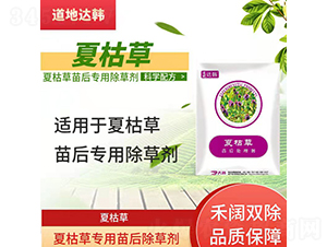 �Ŀݲ݌�(zhu��n)�������݄�-�����_(d��)�n