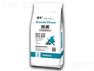 ΢���}�V���F�\-�Fţ-�|��