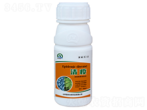 ����ù�������������-����-���r����