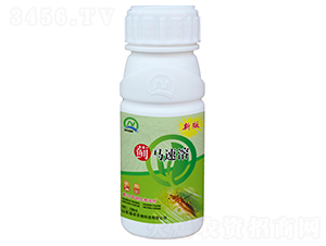 �E�R���������܄�-�E�R����-��(qi��ng)�r(n��ng)����