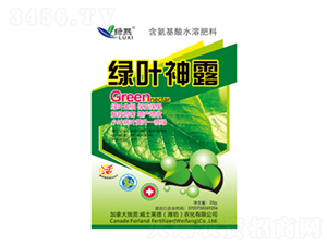 �G�~��¶-�G��-��ʿ�R��