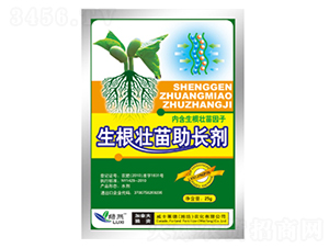 �����������L��-�G��-��ʿ�R��