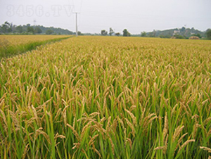 ��ˮ0001-ˮ���N��-���r�N�I(y��)