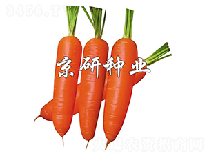 �A�u(y��)228-���}���N��-����