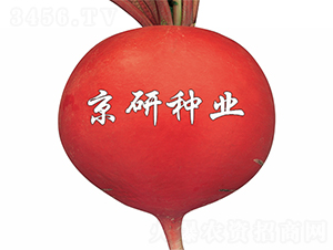 ���t3̖-�}���N��-����