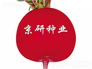 ���t6̖-�}���N��-����