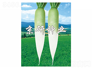 ����2̖-�}���N��-����