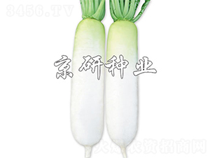 ��������-�}���N��-����