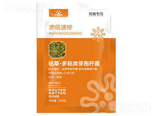 �����ٿأ�΢���������-��p�p-�������